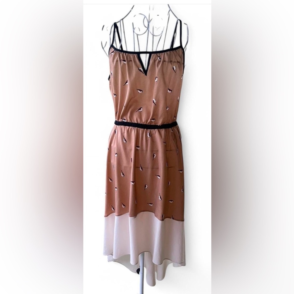 Willow & Clay Color-block Asymmetrical Hem Dress with Bird Print